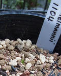 111103fintel4.jpg