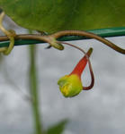 120213fintel.jpg