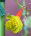 120226fintel3.jpg