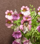 120229ax.jpg