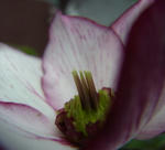 120310jyufun.jpg