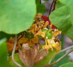fintel1102_2.jpg