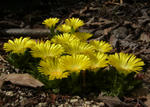 120528delosp1.jpg