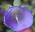 120619symp2.jpg