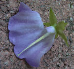 120619symp1.jpg