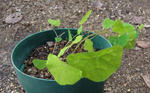 121016fintel1.jpg