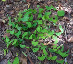 121016fintel2.jpg