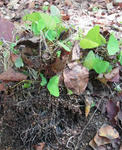 121016fintel3.jpg