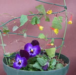 121202fintel.jpg