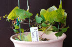 130106fintel.jpg