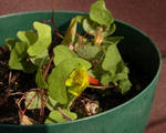 130107fintel.jpg