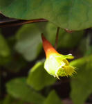 130115fintel.jpg
