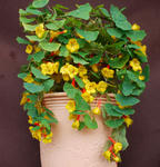 130407fintel.jpg