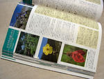 130520book2.jpg