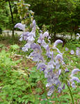 130618tanjin.jpg