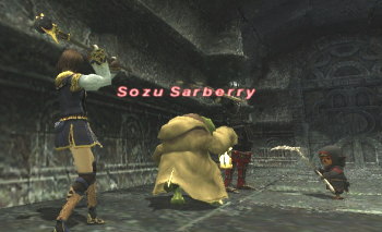 Sozu Sarberry