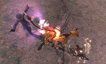 エルさんの魔道士姿は珍しいかも