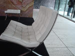 DSC00979.JPG