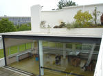 DSC02822.JPG
