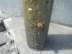 DSC04771.JPG