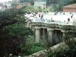 IMAG0020-1.JPG