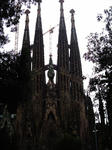 IMAG0087-1.JPG