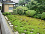DSC00049-1.JPG