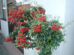DSC04818.JPG