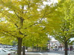 DSC04823.JPG