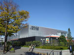 DSC04858-1.JPG