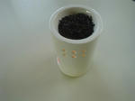 DSC04910.JPG