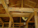 DSC00024-1.JPG