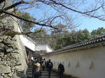 DSC00176-1.JPG