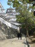 DSC00180-1.JPG