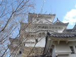 DSC00189-1.JPG