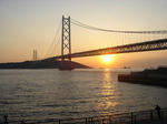 DSC00334-1.JPG