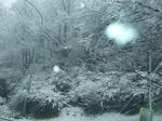 DSCF0532-1.JPG