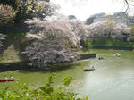 DSC00621-a.JPG