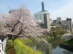DSC00623-a.JPG