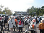 DSC00730-1.JPG