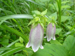 DSC05062-1.JPG
