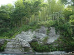 DSC00136-1.JPG