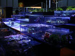 DSC00369-a.JPG