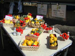 DSC00544-1.JPG