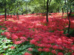 DSC00583-1.JPG