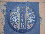 DSC00631-1.JPG