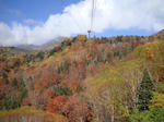 DSC00749-1.JPG