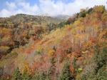 DSC00751-1.JPG