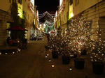 DSC01316-1.JPG