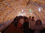 DSC00522-z.JPG